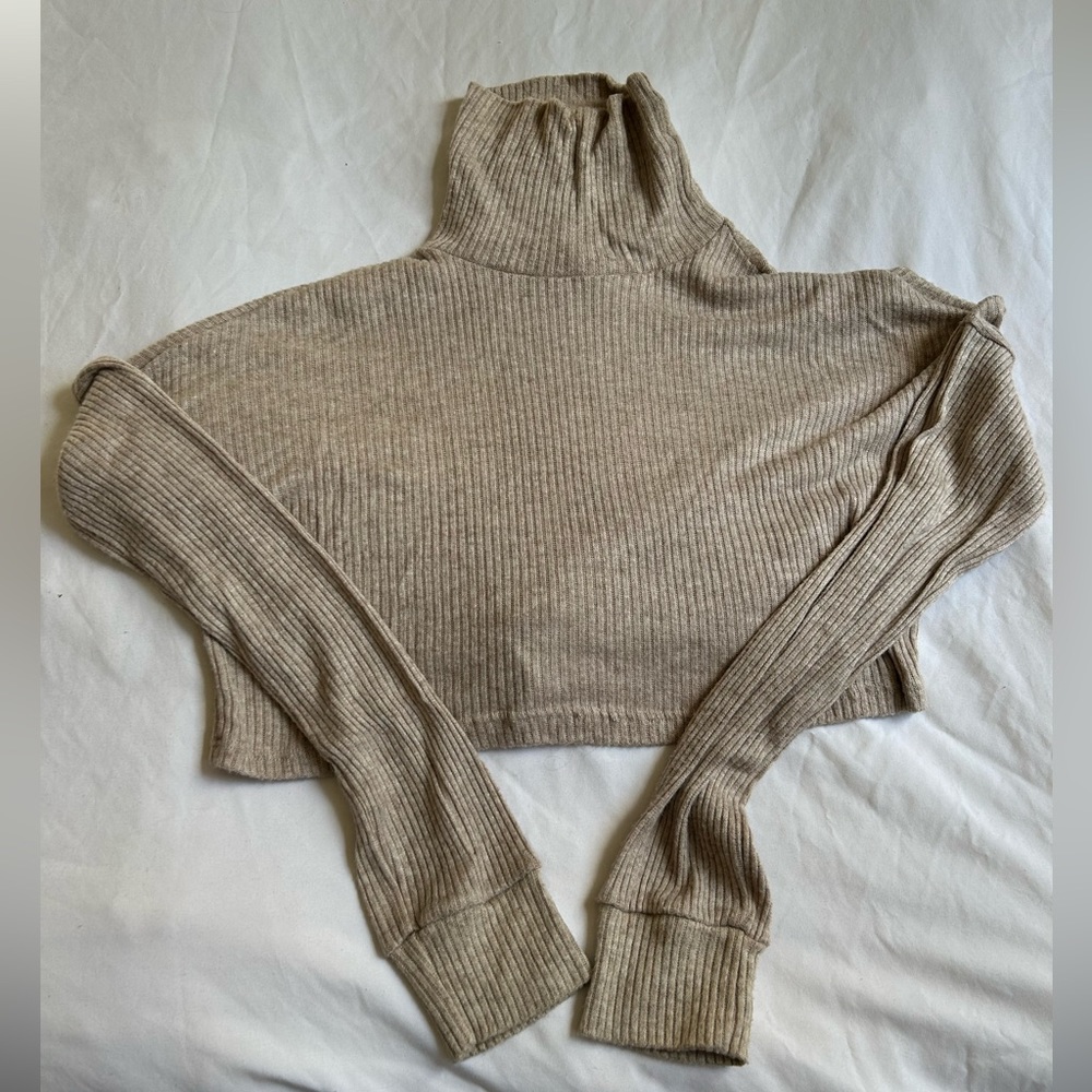 Brown cropped turtleneck